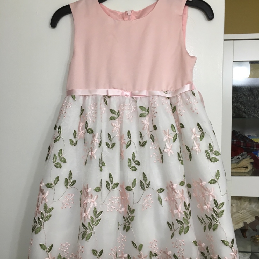 Pink Dress 6x
